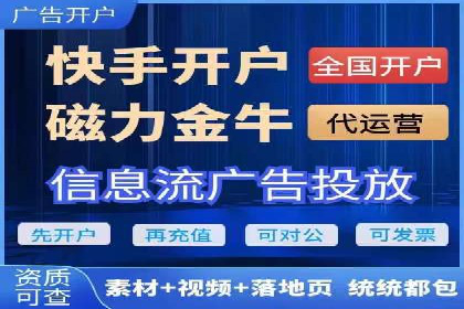 行业领先企业的SEM代理案例剖析